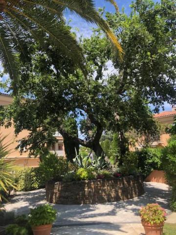Belle Residence Au Centre De Saint Tropez Avec Piscine Et Garage ภายนอก รูปภาพ